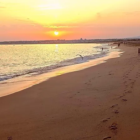 Estudio Puertorico Tropicana Appartement Albufeira